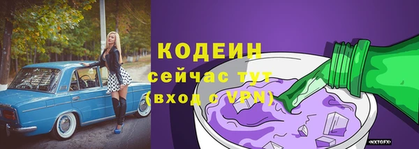 крисы Горняк