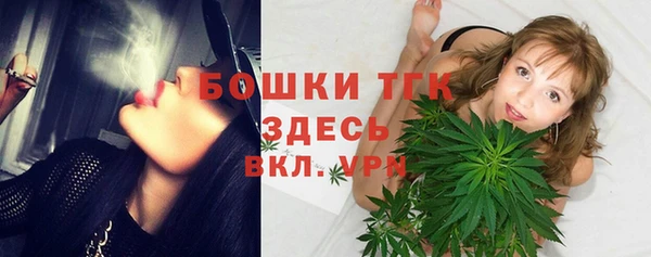 крисы Горняк