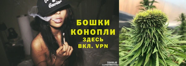 крисы Горняк