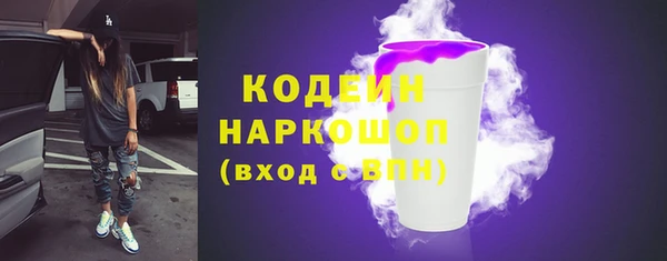 крисы Горняк