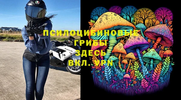 крисы Горняк