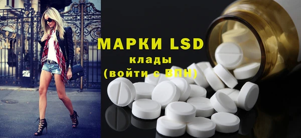 крисы Горняк