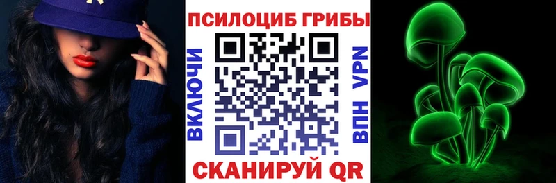 KRAKEN   Серпухов  Галлюциногенные грибы мицелий 